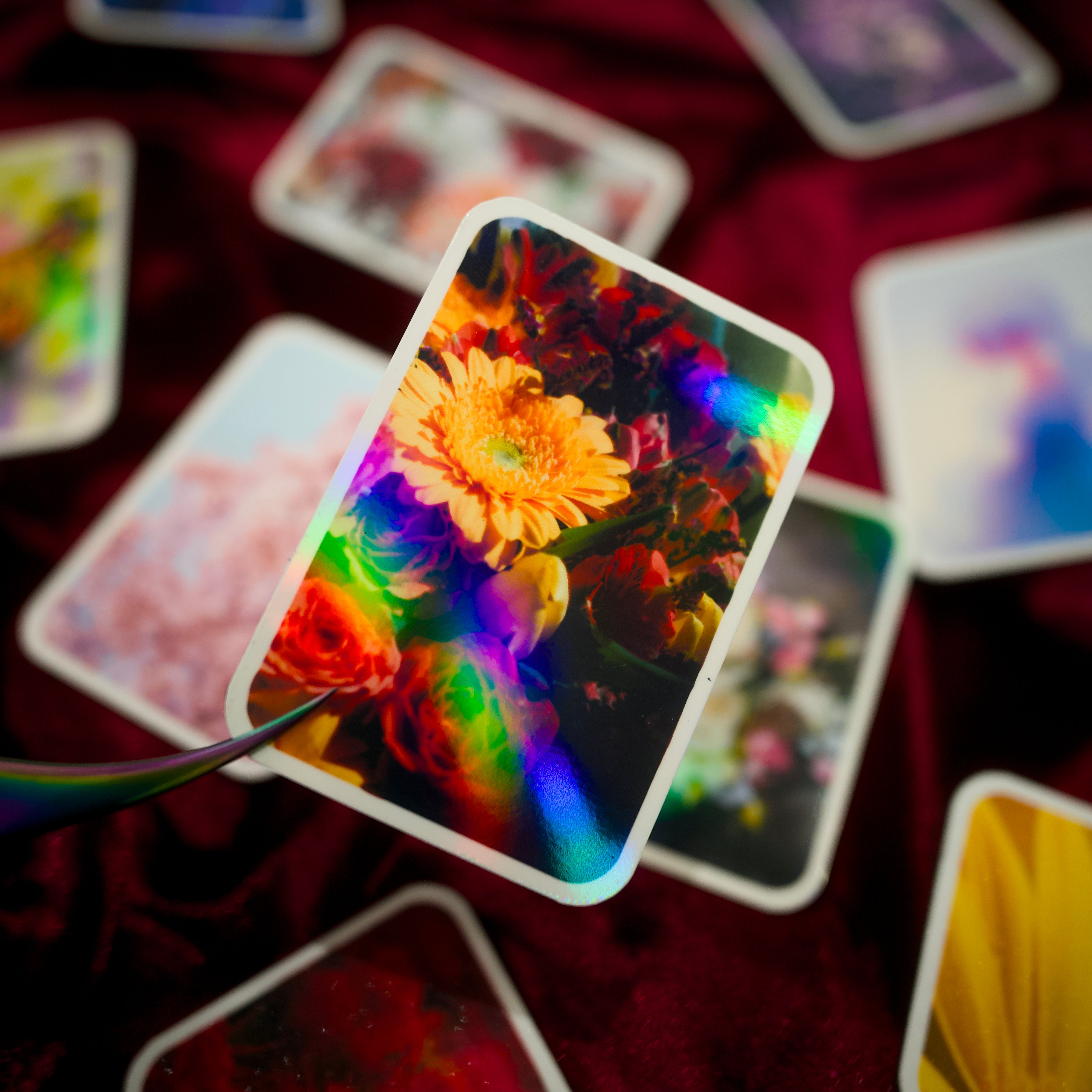 Fancy Photo Magnets (Set of 10)