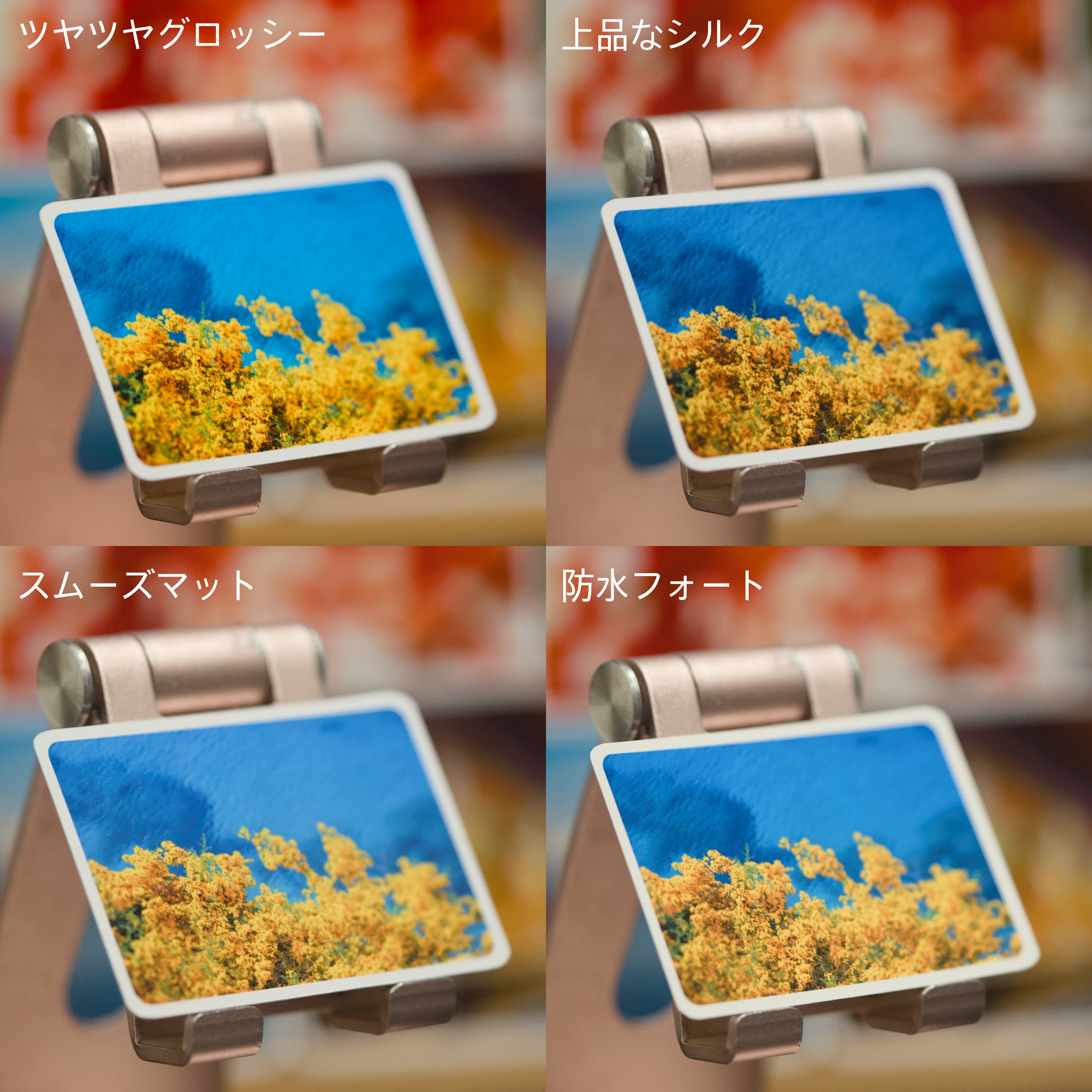 フォトマグネット『１０枚セット』