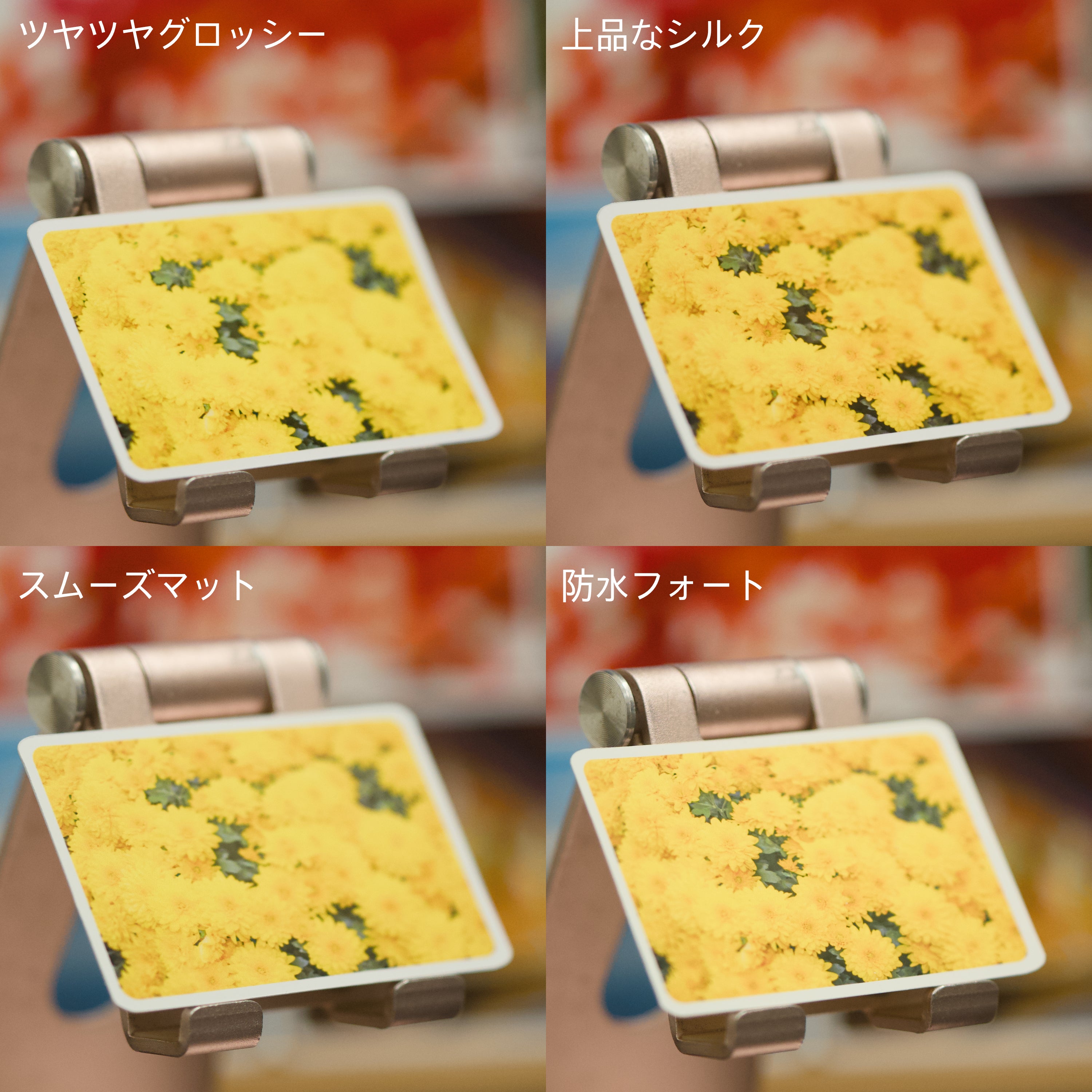 フォトマグネット『１０枚セット』